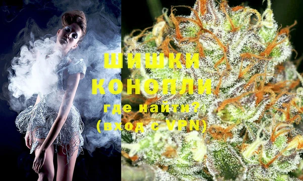 гидра Кулебаки