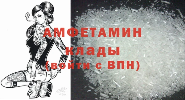 гидра Кулебаки