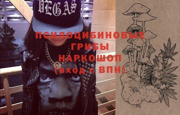 гидра Кулебаки