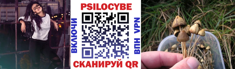 Галлюциногенные грибы прущие грибы  купить наркоту  Шлиссельбург 
